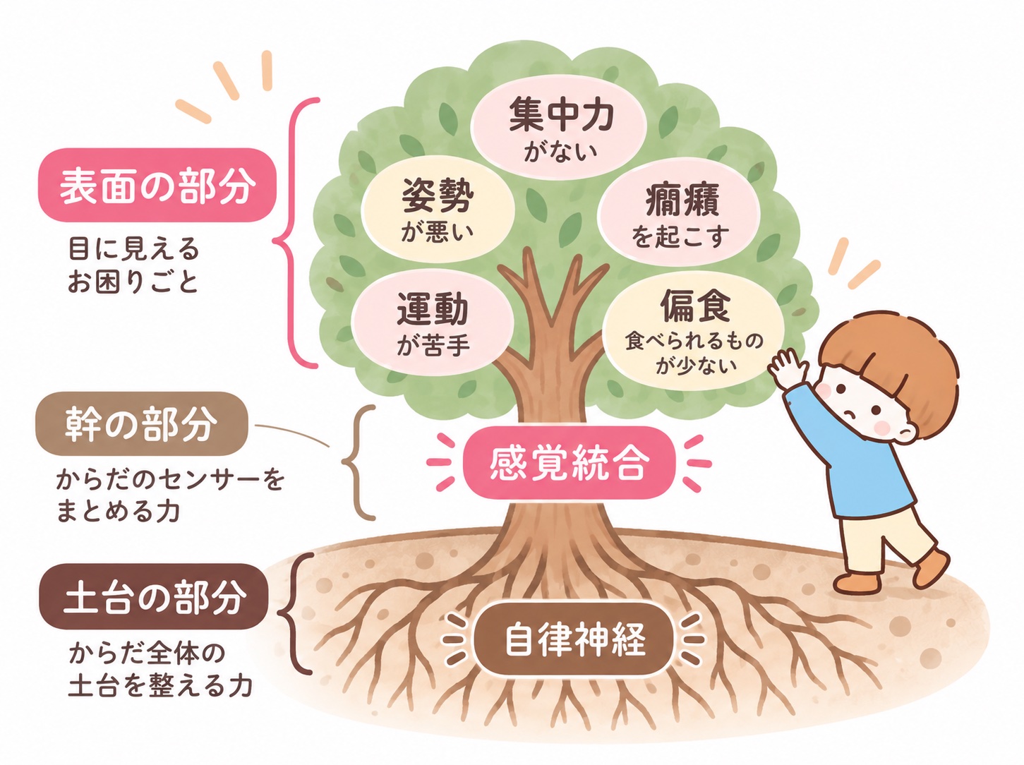 目に見えるお困りごと(表面の部分)、感覚統合(幹の部分)、自律神経(土台の部分)を木にたとえたイラスト